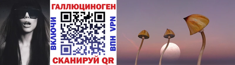 Псилоцибиновые грибы прущие грибы  Мурино 